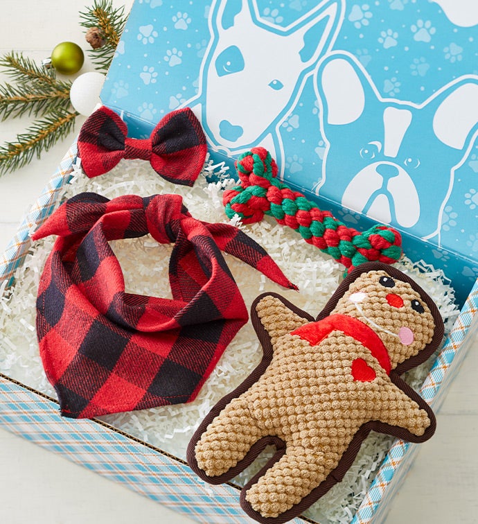Max & Milo® Dog Holiday Essentials Box